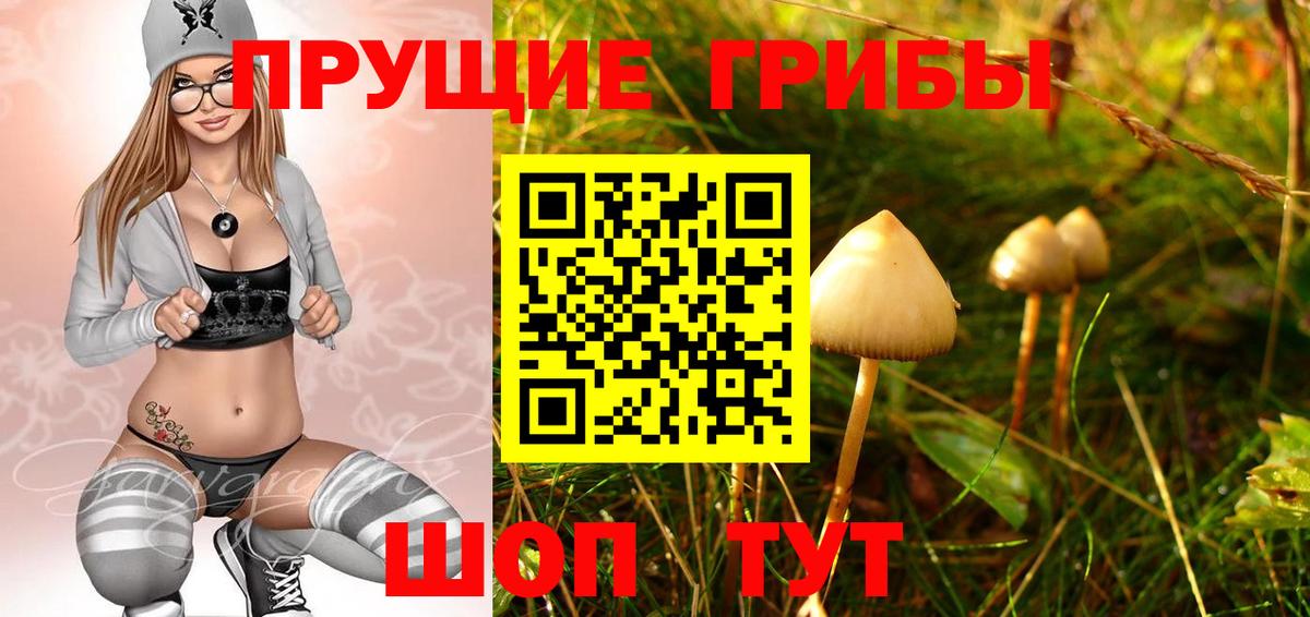 Псилоцибиновые грибы MAGIC MUSHROOMS Карачаевск
